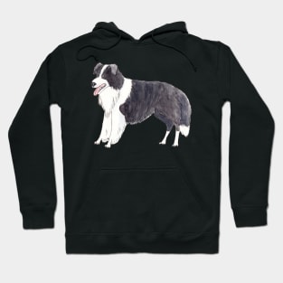 Border collie Fun Hoodie